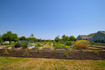 Photo 5 for 4929 W Tydeman Way #210