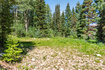 Photo 2 for 100 S Forest Road 0242