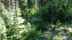 Photo 5 for 100 S Forest Road 0242