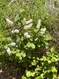Photo 5 for 2595 N Hwy 192