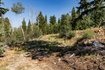 Photo 5 for 17102 S Alta Dr