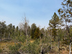 Photo 6 for 4913 Pinecrest Rd