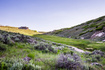 Photo 4 for 7471 Golden Bear Loop