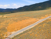 Photo 3 for 875 Hoyt Peak Ranch Rd