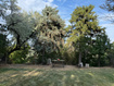 Photo 6 for 441  Tremont St