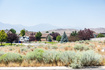 Photo 6 for 9330 N Horizon Dr