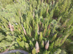 Photo 6 for 550 Red Fir Way