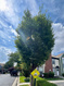 Photo 4 for 1382 W Beacon Hill Circle Cir