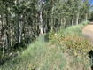 Photo 4 for 5475 N Hidden Way