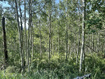 Photo 6 for 5475 N Hidden Way