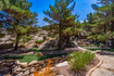 Photo 6 for 1636 E Boulder Springs Dr