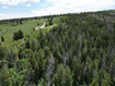 Photo 5 for 17528 S Wolf Creek Cir