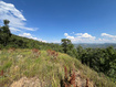 Photo 2 for Lot 88,
