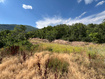 Photo 4 for Lot 88,