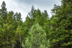 Photo 5 for 3716 Chokecherry Ln