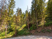 Photo 1 for 125 Evergreen Cir
