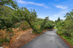 Photo 6 for 3203 E Fernwood Dr