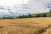 Photo 5 for 950 Swiss Alpine Rd