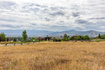 Photo 3 for 950  Swiss Alpine Rd