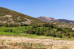 Photo 6 for 950 Swiss Alpine Rd