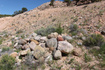 Photo 2 for 3277 W Cimarron Cir