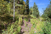 Photo 6 for 3044 S Forest Meadow Rd