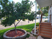 Photo 6 for 237  Fremont Way