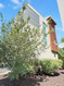 Photo 6 for 10371 S Roaring Creek Ln