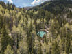 Photo 4 for 11320 E Balsam Forest Ln