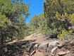 Photo 6 for 255 S Canyon Creek Cir
