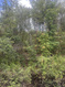 Photo 4 for 4880 S Rhoades Dr