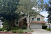 Photo 1 for 2195 E 10300 S