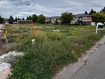 Photo 4 for 381 W Raspberry Patch Rd