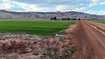 Photo 2 for 1550 N 2070 E