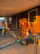 Photo 2 for 271  Jackson Ave
