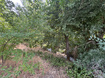 Photo 6 for 1648 E 4150 S