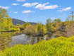 Photo 6 for 5958  Bull Moose Rd