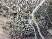 Photo 3 for 15102 S Shaggy Mountain Rd