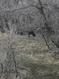 Photo 3 for 541 S Left Fork Hobb Rd