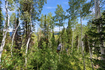 Photo 6 for 12290 E Camp Tuttle Rd