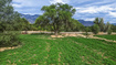 Photo 5 for 5775 N 4600 W