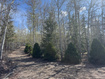 Photo 2 for 10737 E Tanglewood Dr #630