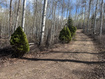 Photo 3 for 10737 E Tanglewood Dr #630