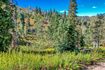 Photo 4 for 1743 Pine Loop Rd