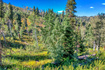 Photo 6 for 1743 Pine Loop Rd