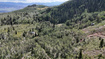 Photo 6 for 5057 N Larkspur Rd