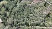 Photo 5 for 5057 N Larkspur Rd