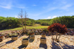 Photo 5 for 2970  Spring Hill Dr