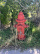Photo 6 for 259 W 200 S