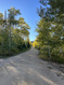 Photo 3 for 10787 E Jedidiah Smith Dr